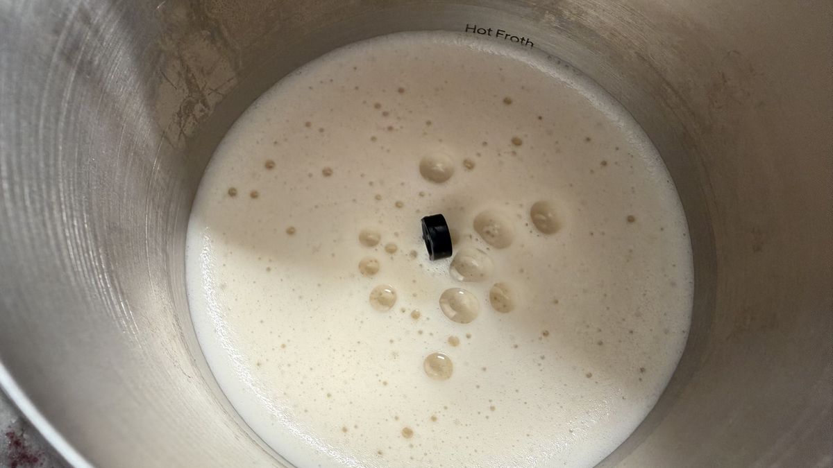 Terra Kaffe Aero with plant based milk