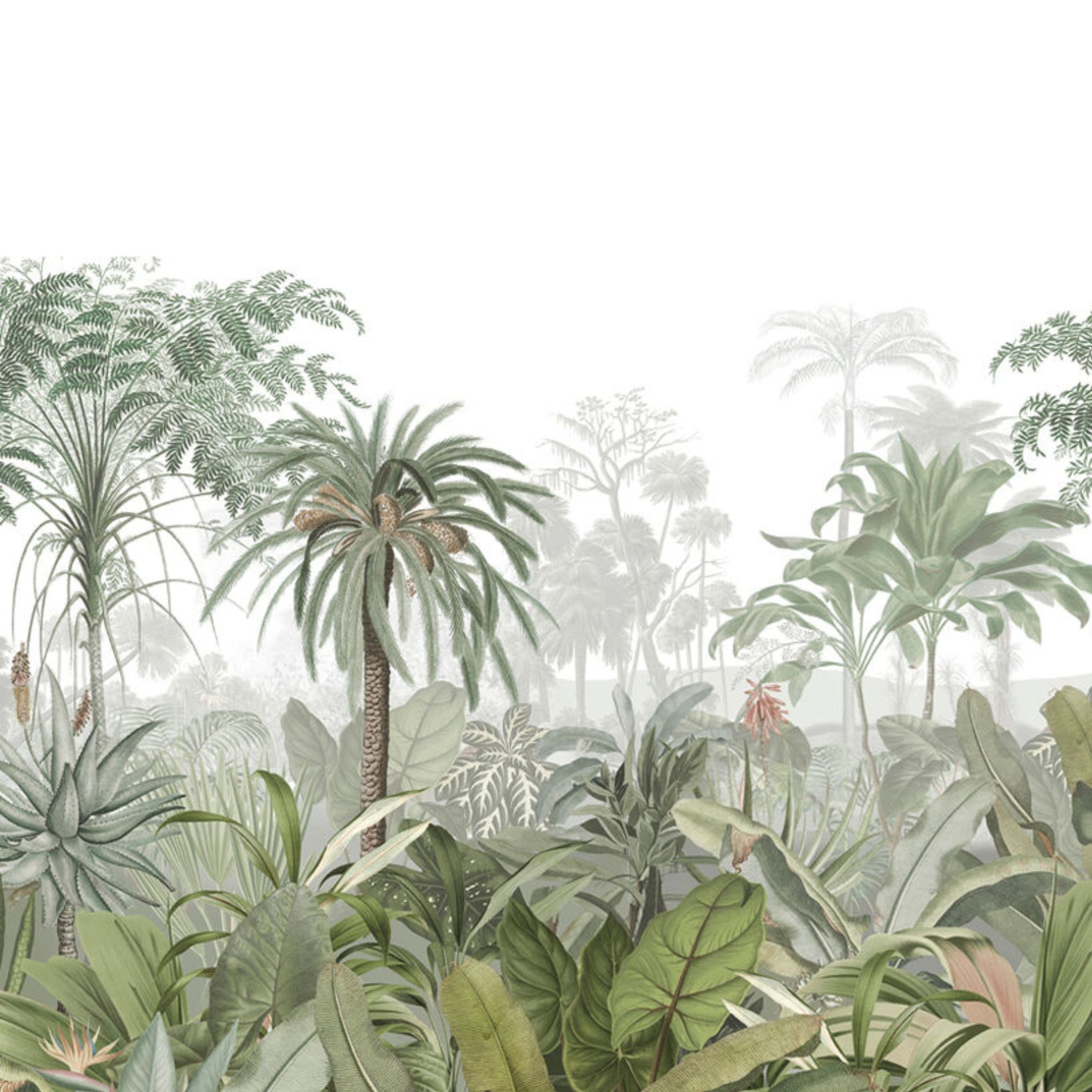 Graham & Brown, Paradise Jungle Palm Bespoke Mural
