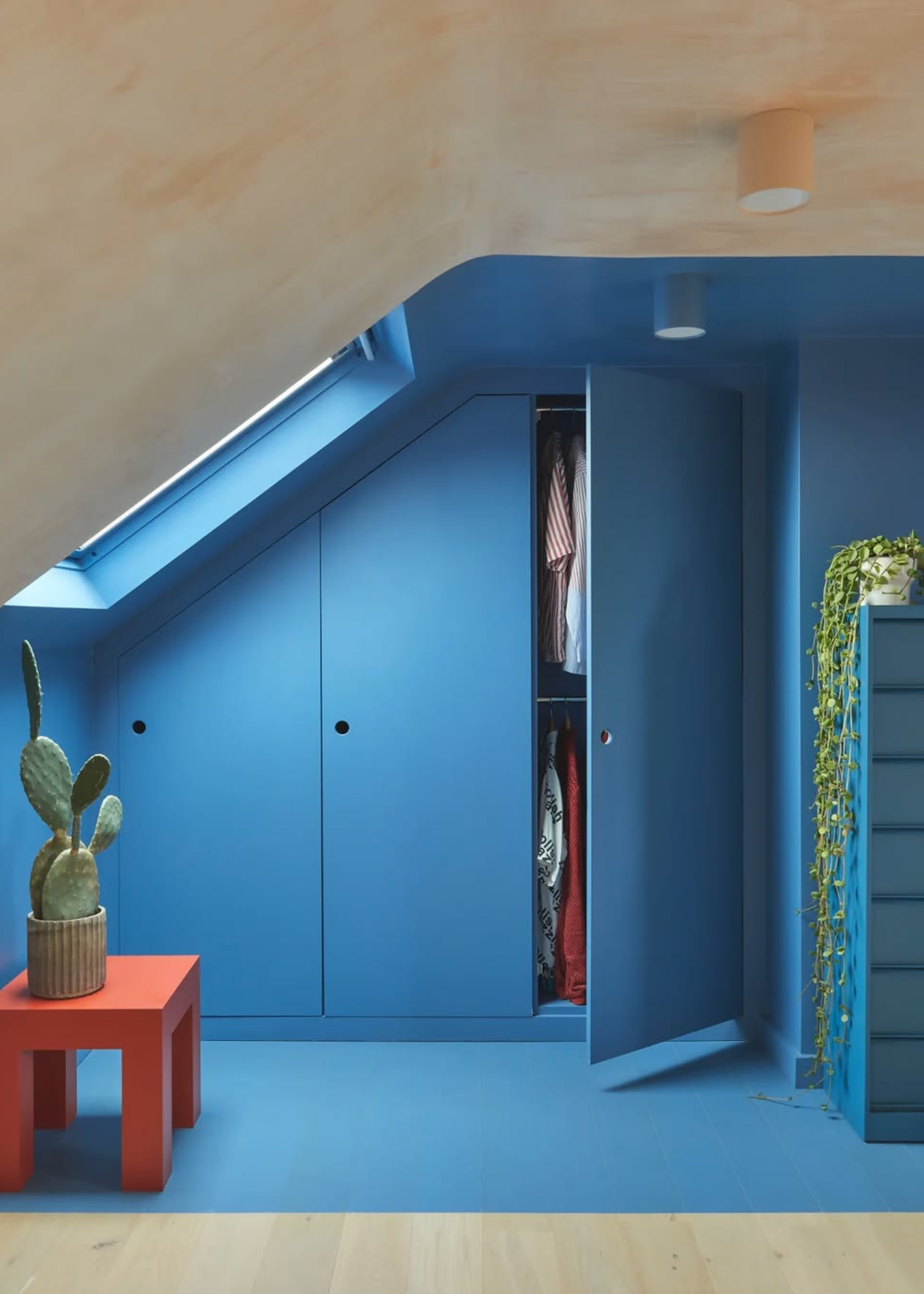 A bold blue clothes closet in a bedroom with a potted cactus and a string of pearls trailing plant