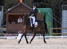 Lucinda Fredericks leads after dressage on Flying Finish at Pau 4-star