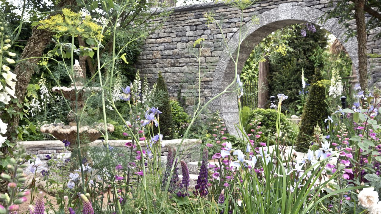 RHS Chelsea Flower Show Bridgerton garden with foxgloves and lupins in bloom