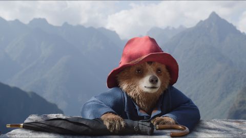 Paddington on a rock in Paddington in Peru