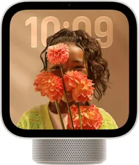 Apple HomeView