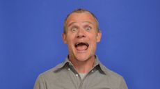 flea on a blue background