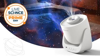 orzorz galaxy lite with a starry background