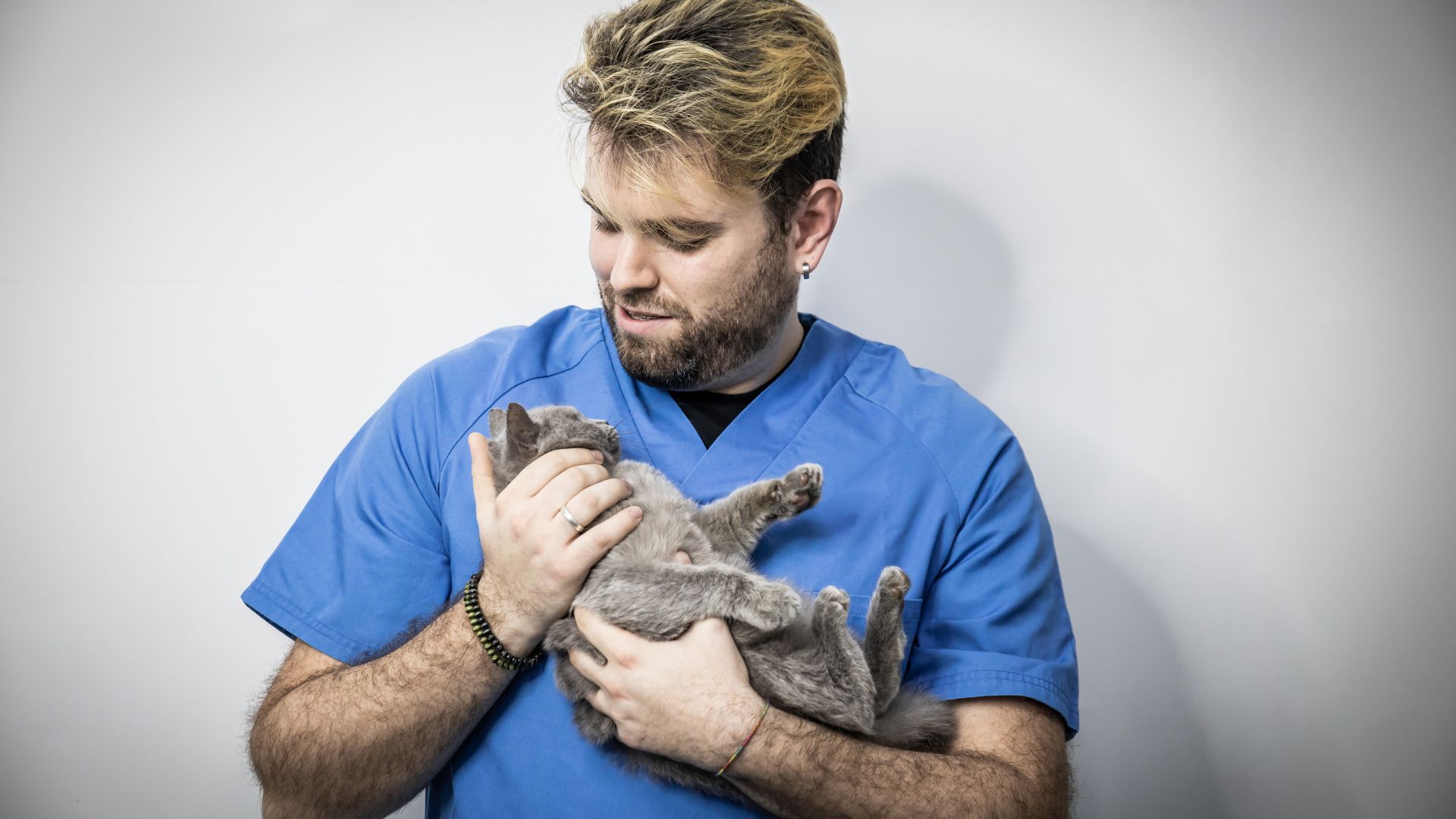 Cat being cuddled by vet