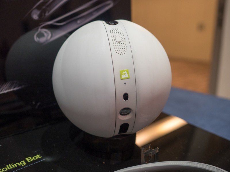 LG Roller Bot