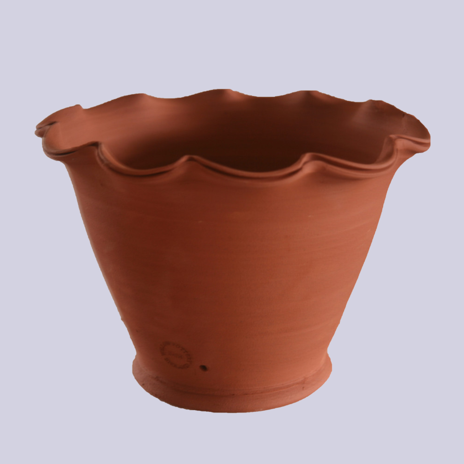 A scalloped terracotta planter