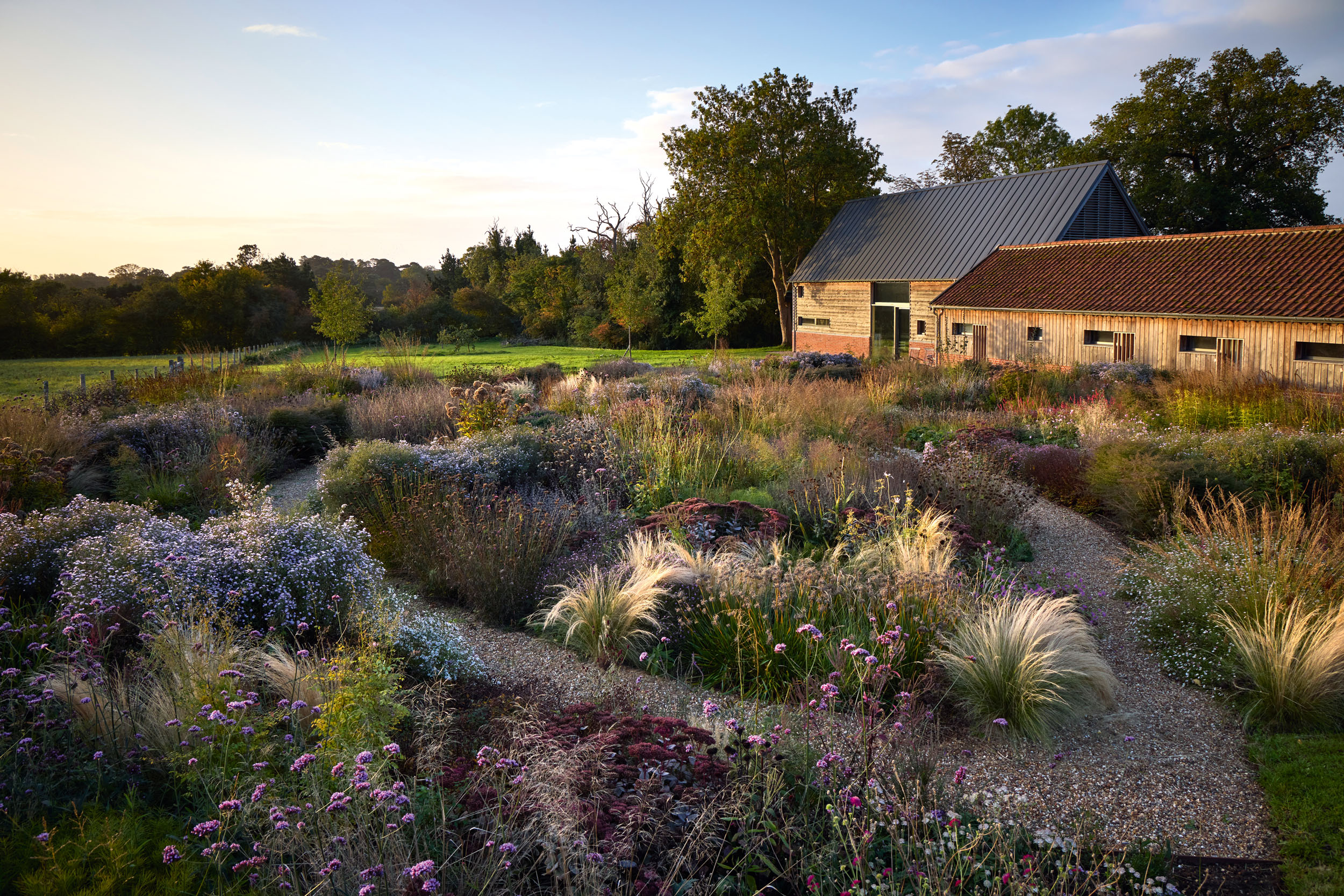 The garden at Shillies Barn, Suffolk