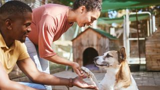 Couple at animal shelter