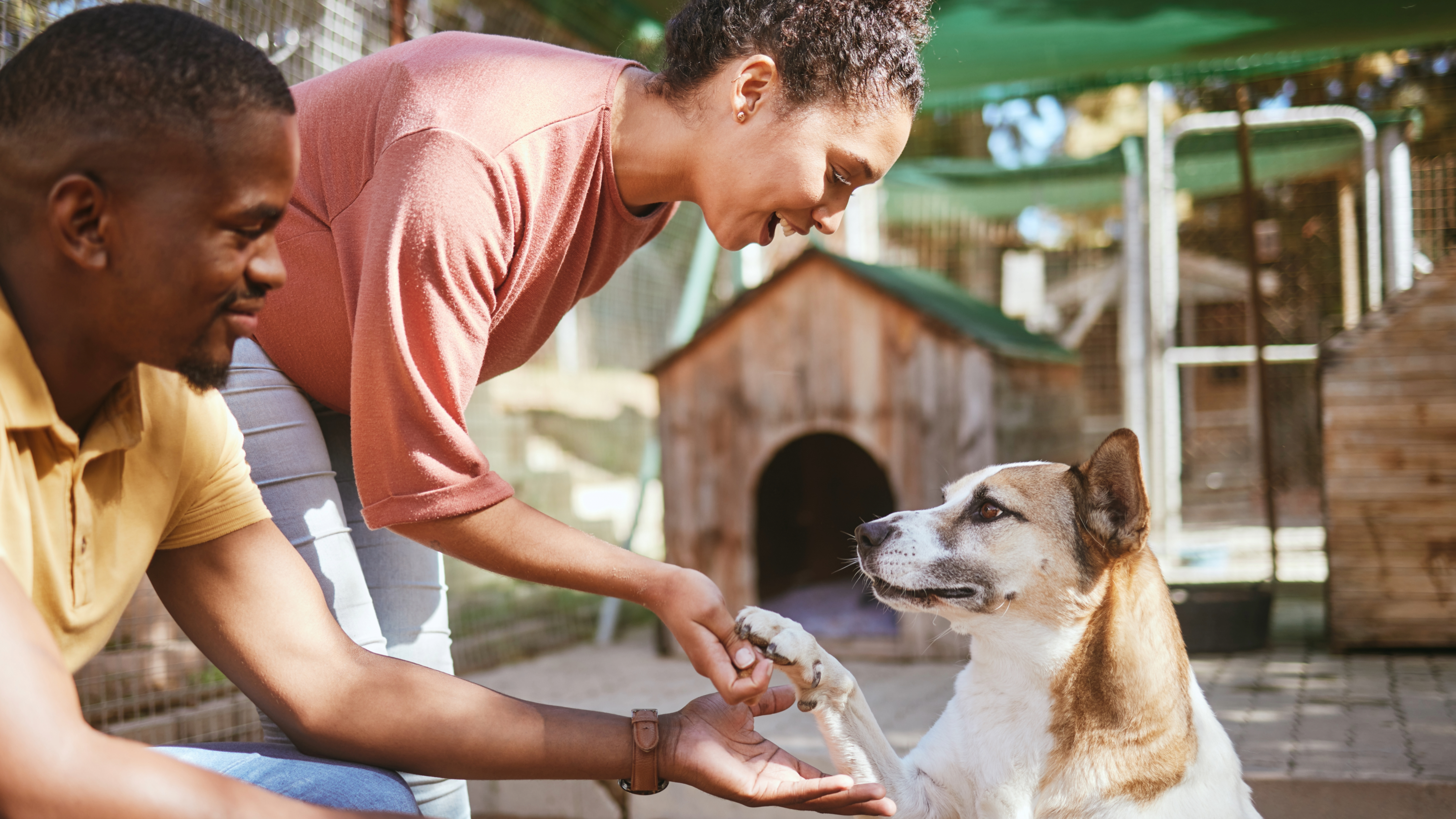 Couple at animal shelter