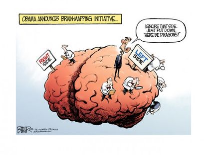 Cerebral bias