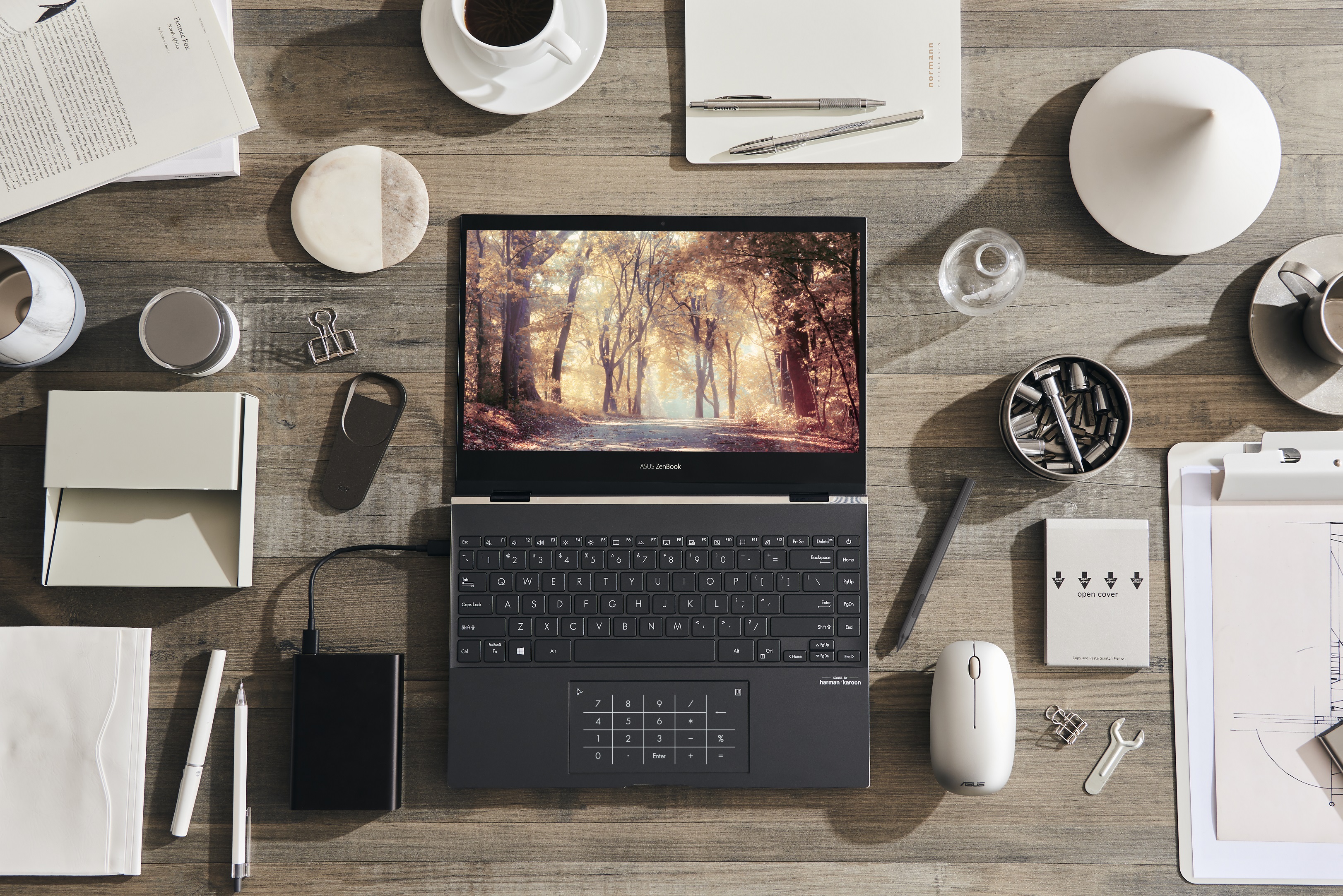 ASUS ZenBook Flip 13 UX363