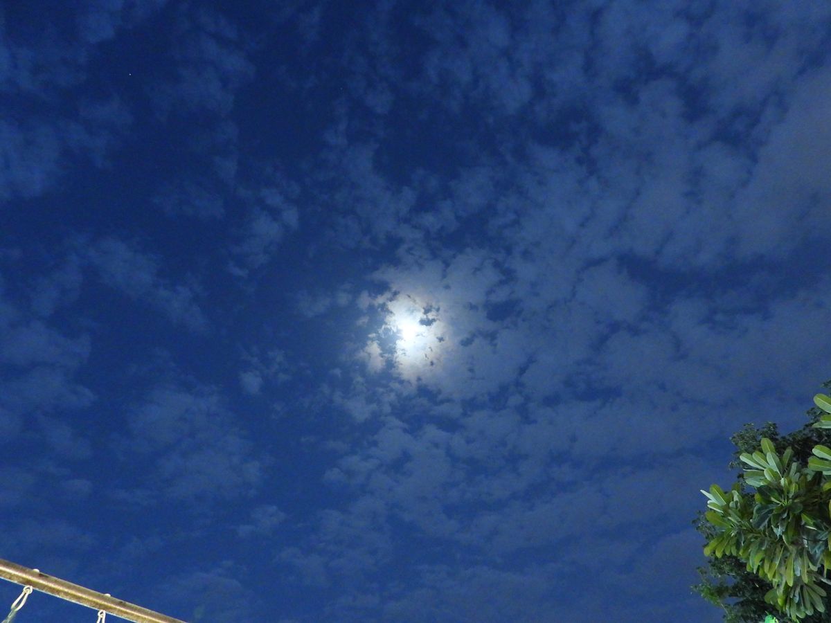 Nikon Coolpix P1000