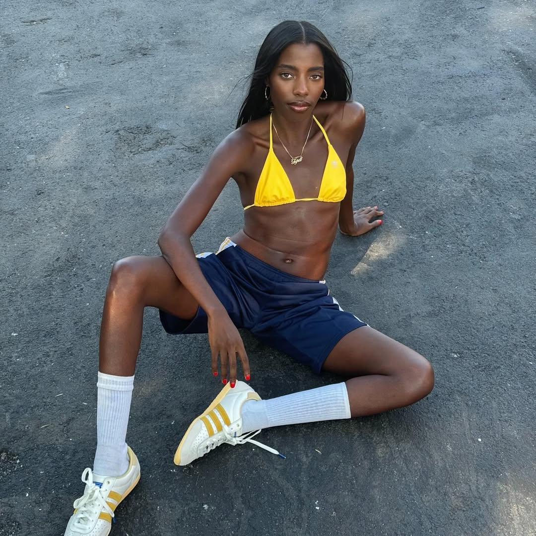 Summer Trend Prediction