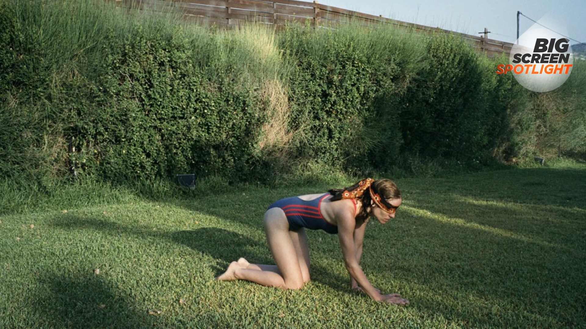 Dogtooth