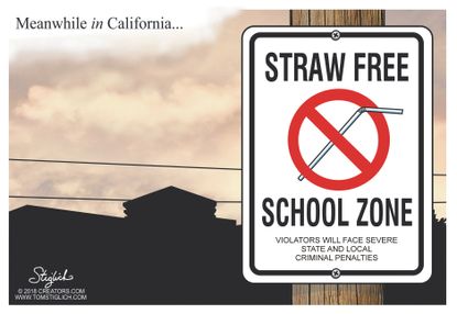 Political cartoon U.S. straw plastic environment school zone criminal penalties