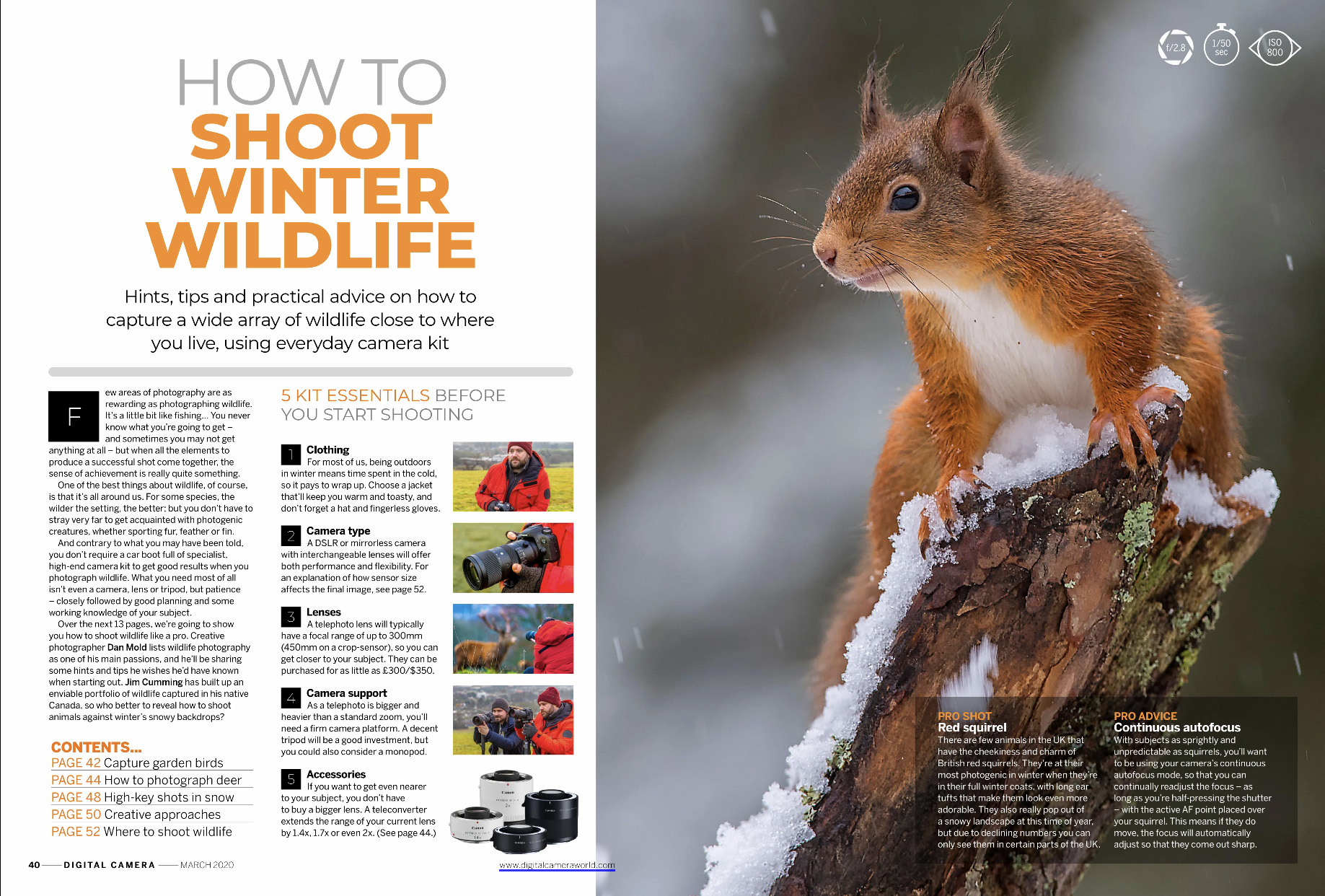DCam 226 new issue story feature opener image