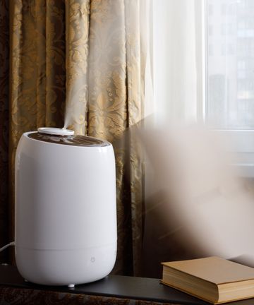 Best place to put a dehumidifier: for optimal effectiveness | Homes ...