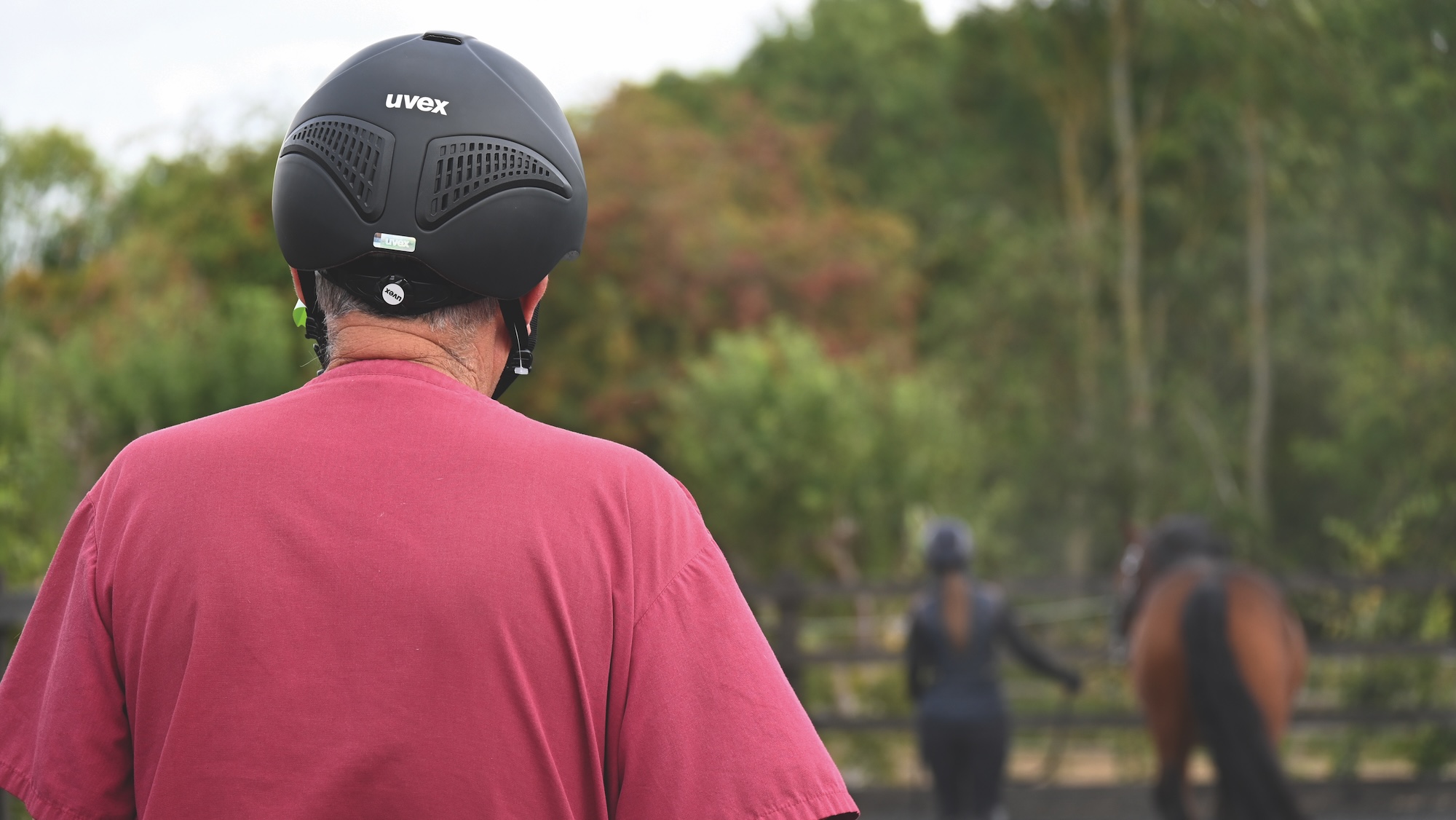 A vet watching a horse trot up