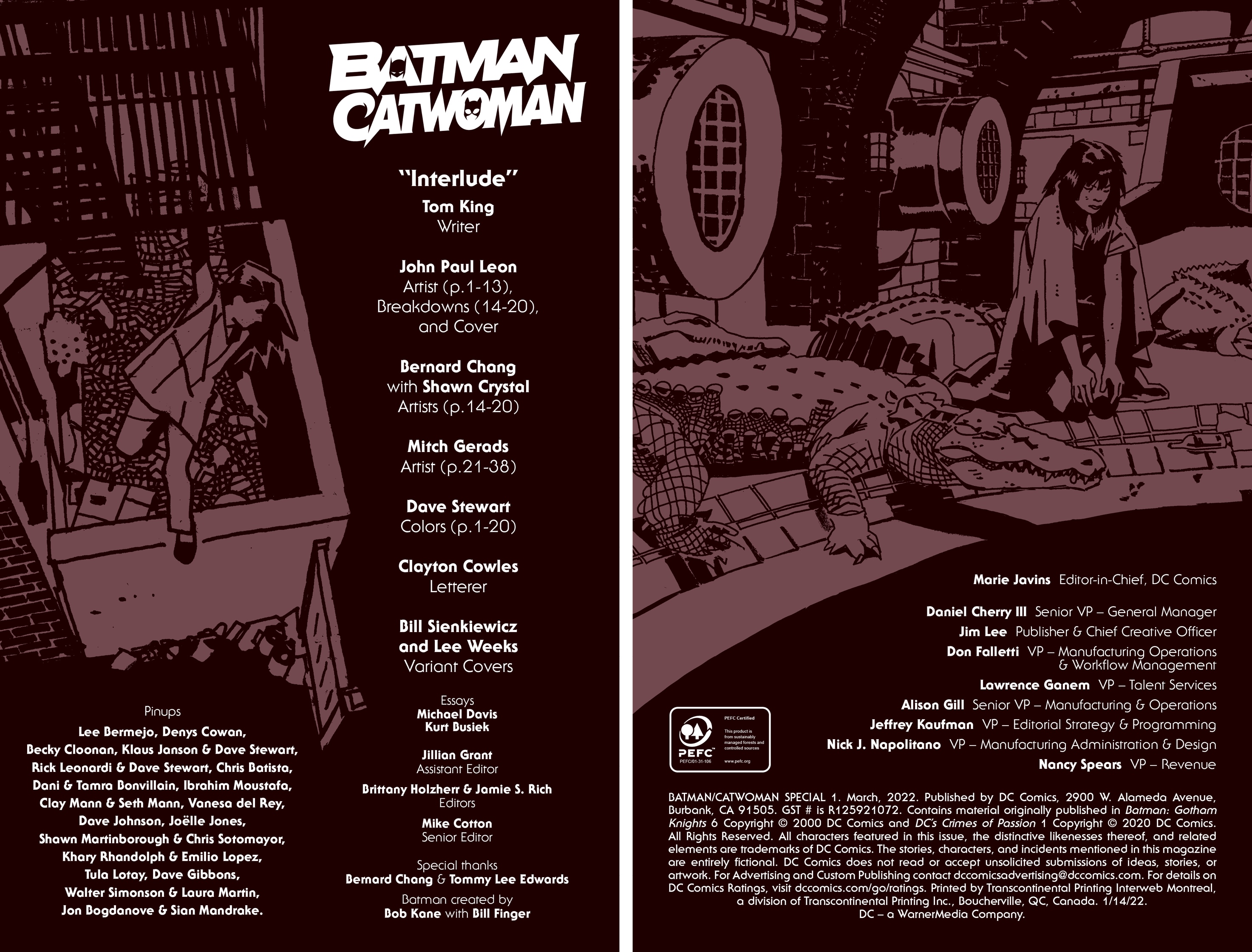 Batman/Catwoman Special #1