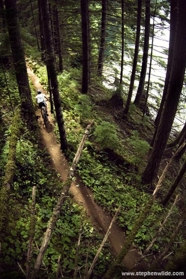 A racer in the singletrack