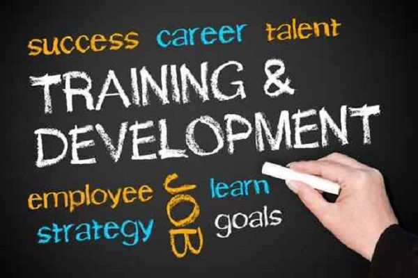 Training development