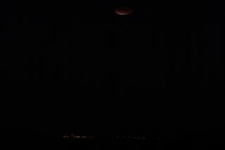 Lunar Eclipse Dec. 10 - Tony DiBerardinis