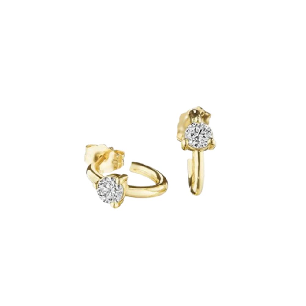 at present earrings jewelry