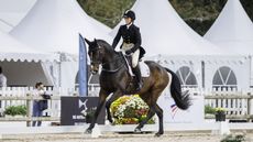 Nine French riding Time For Harry at Pau Horse Trials