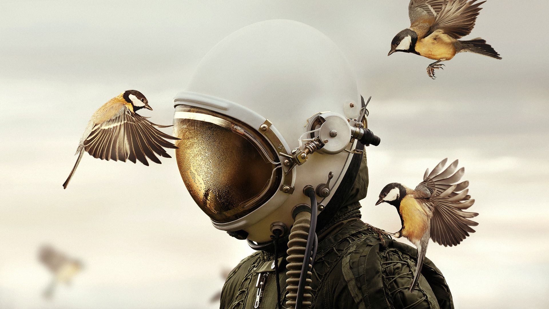 Sony World Photography Awards Open winners announced TechRadar