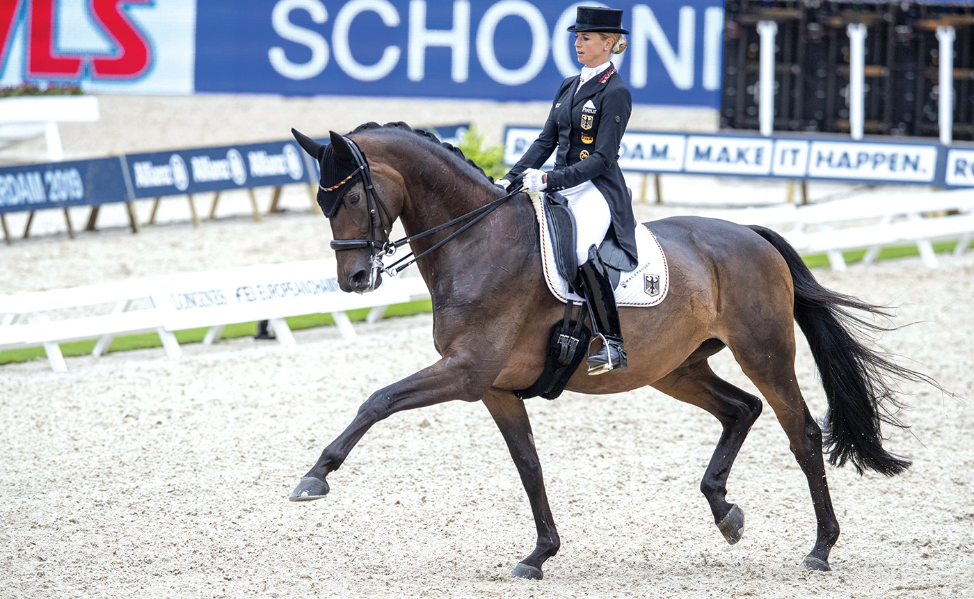 Rotterdam - Europameisterschaft Dressur, Springen und Para-Dressur 2019, VON BREDOW-WERNDL Jessica (GER), TSF DALERA BB Rotterdam - Europameisterschaft Dressur, Springen und Para-Dressur 2019 Longines FEI European Championships Dressage Grand Prix - Teams (1st group) Teamwertung 1. Gruppe 19. August 2019 &amp;Atilde;&amp;#130;&amp;Acirc;&amp;copy; - *** Rotterdam European Championships Dressage, Show Jumping and Para Dressage 2019, VON BREDOW WERNDL Jessica GER , TSF DALERA BB Rotterdam European Championships Dressage, Show Jumping and Para Dressage 2019 Longines FEI European Championships Dressage Grand Prix Teams 1st group Team classification 1 Group 19 August 2019 &amp;Atilde;&amp;#130;&amp;Acirc;&amp;copy;.