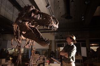 Scotty's enormity is obvious (see paleontologist Scott Parsons for scale).