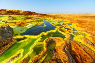 The Dallol hydrothermal pools are harsh environments.