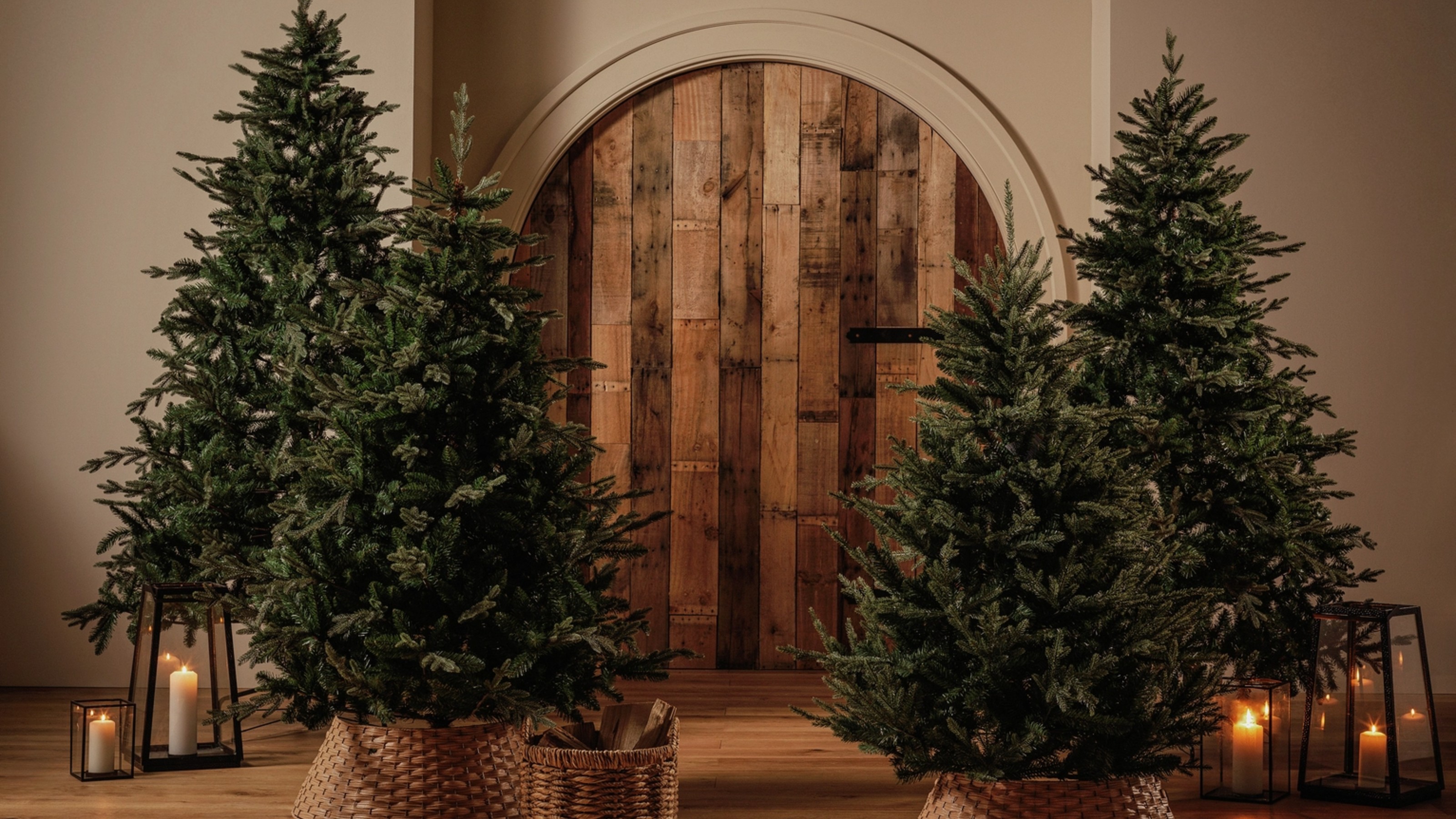 Habitat Natural Look Upswept Mixed Tip Christmas Trees in various sizes surrounding an arched wooden door