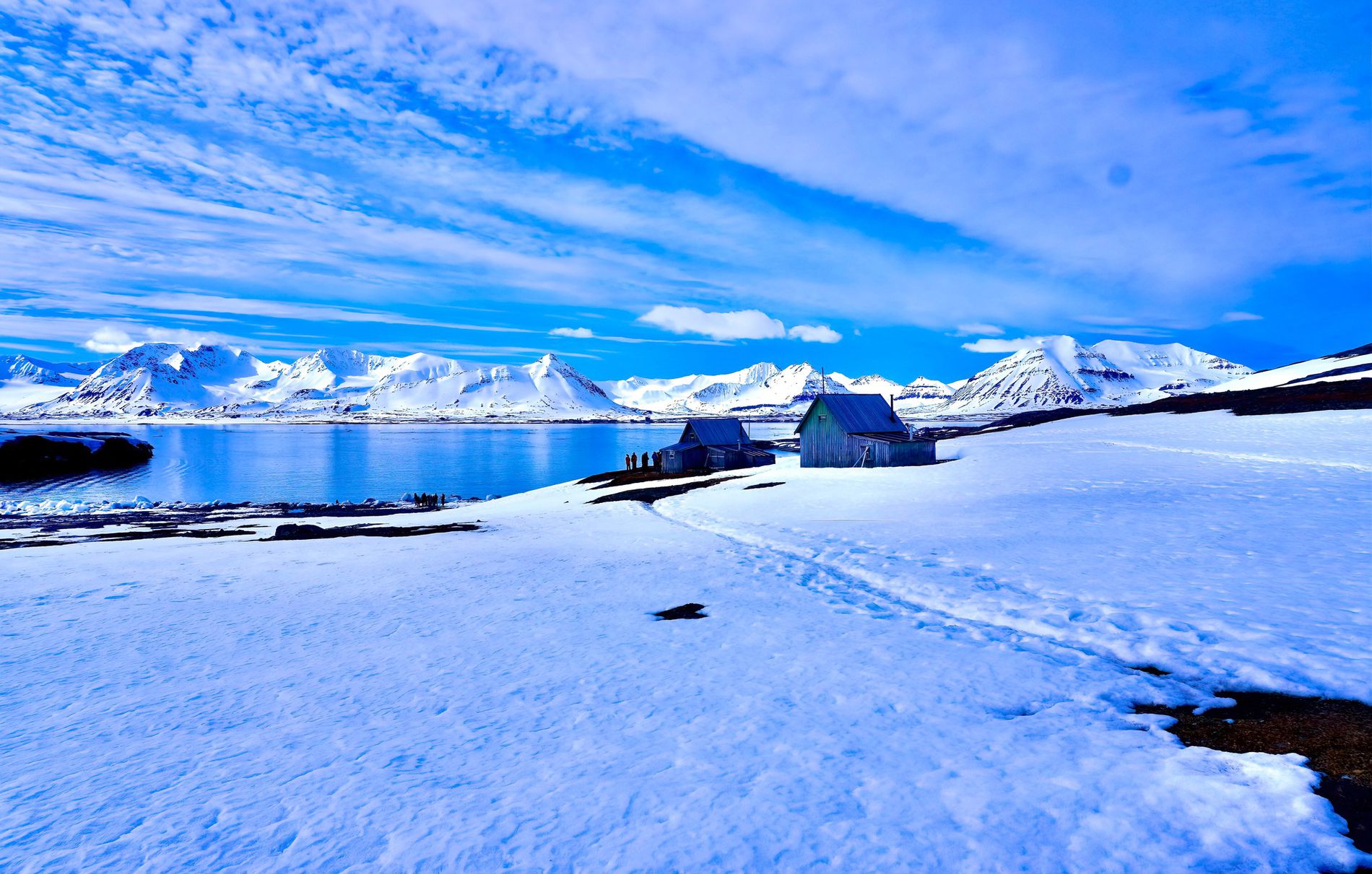 GuruShots - February 2026