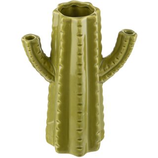 green coloured cactus plant vase