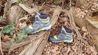 Keen Ridge Flex WP hiking boots in a woodland setting