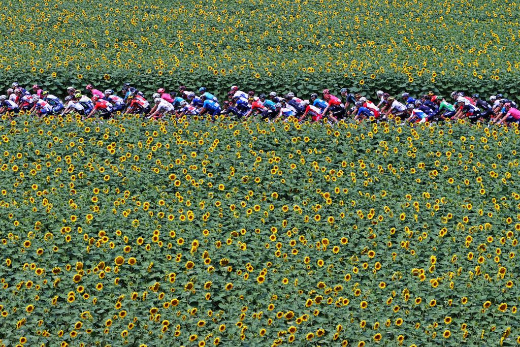 QUILLAN FRANCE JULY 10 The Peloton passing through a Sunflowers field during the 108th Tour de France 2021 Stage 14 a 1837km stage from Carcassonne to Quillan Landscape LeTour TDF2021 on July 10 2021 in Quillan France Photo by Michael SteeleGetty Images