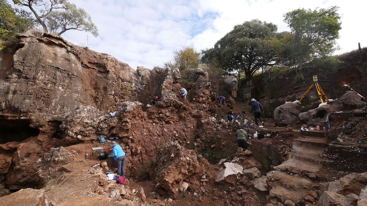 The excavation site at the Drimolen Main Quarry in South Africa.
