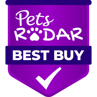 Best kitten toys 2024: The top playthings for your new cat | PetsRadar