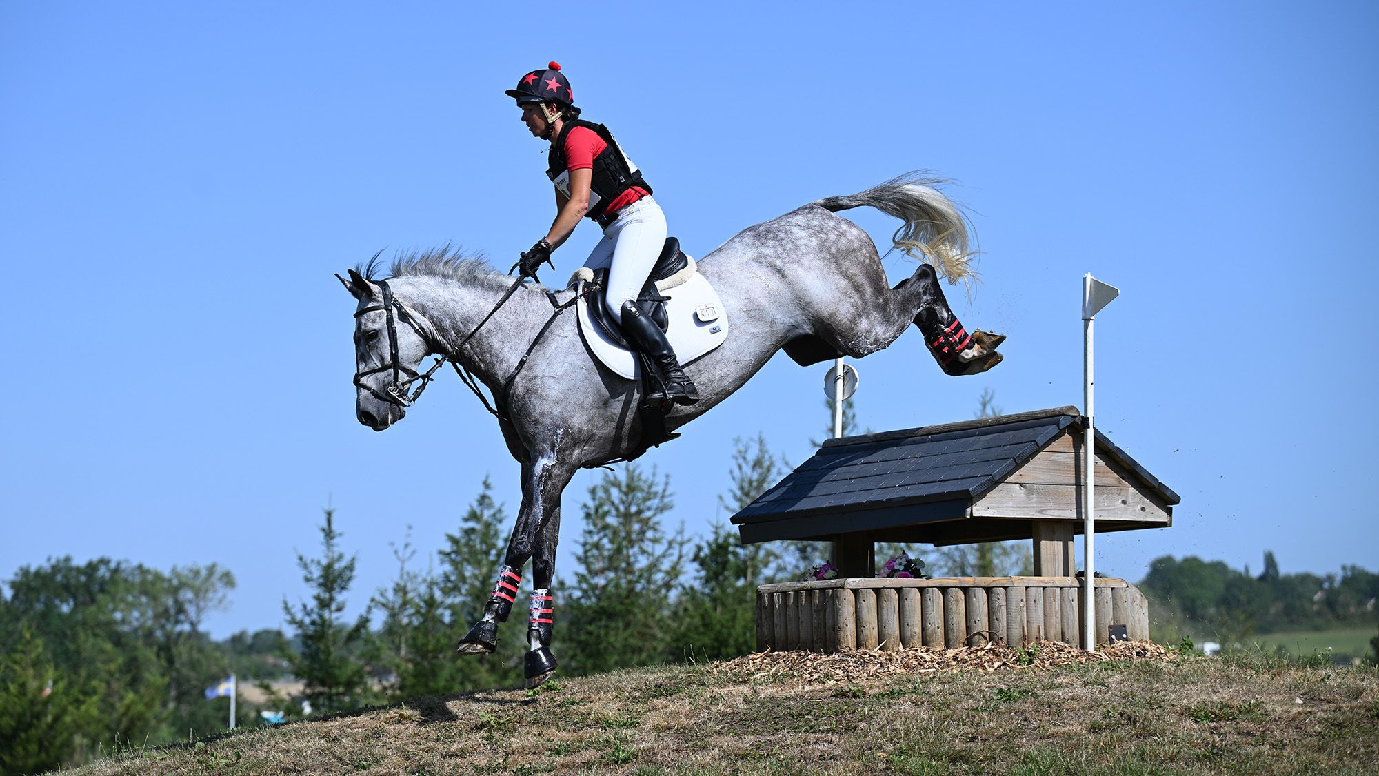 Is this the LA28 Olympic champion? British four-star horse sold as potential championship ride for Michael Jung