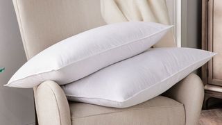 Waldorf Astoria Feather & Down Pillow, from one of w&h's best hotel pillow brands