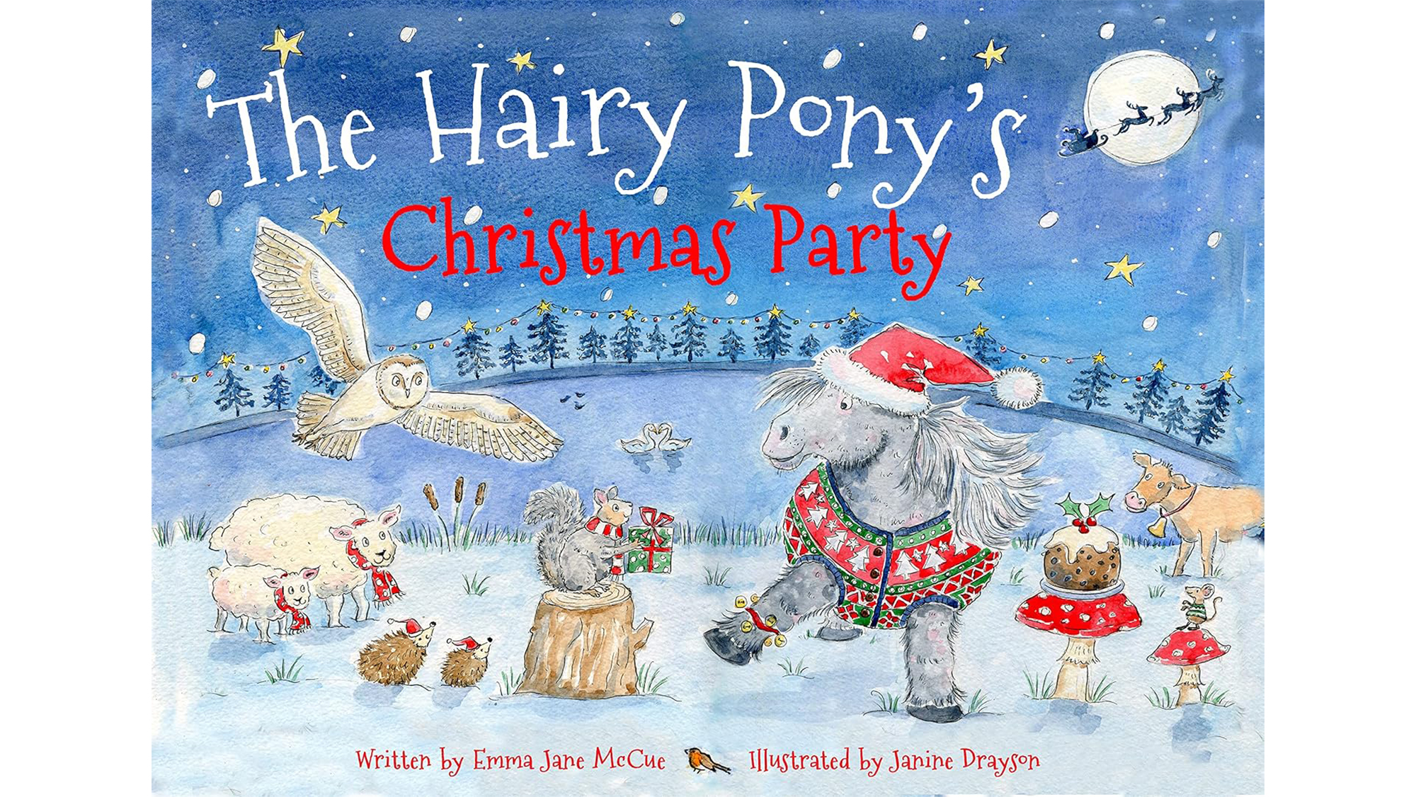 The Hairy Pony&amp;rsquo;s Christmas Party book