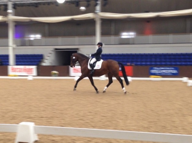 Competing with Abira at Bury Farm