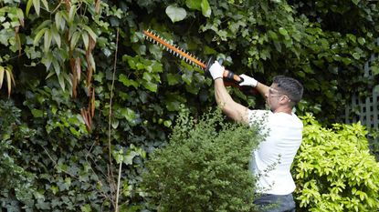 Cordless hedge on sale trimmer argos