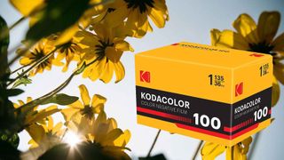 A Kodacolor 100 box with a sample photo taken on the film of flowers as the background