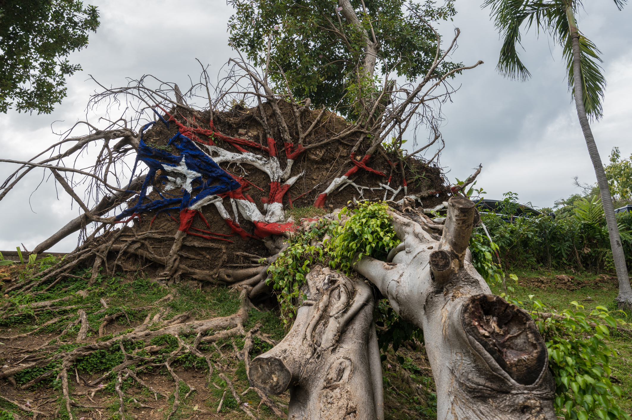 Hurricane Maria: Death toll in Puerto Rico much higher, estimated at 2,975,  new study finds - CBS News