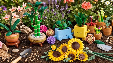 Selection of Lego botanicals sets in a real garden setting, with soil and plant pots