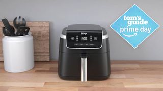 Ninja air fryer deal